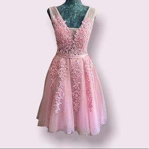 Vintage Pink Fairytale Lace and Sequin Party Dress